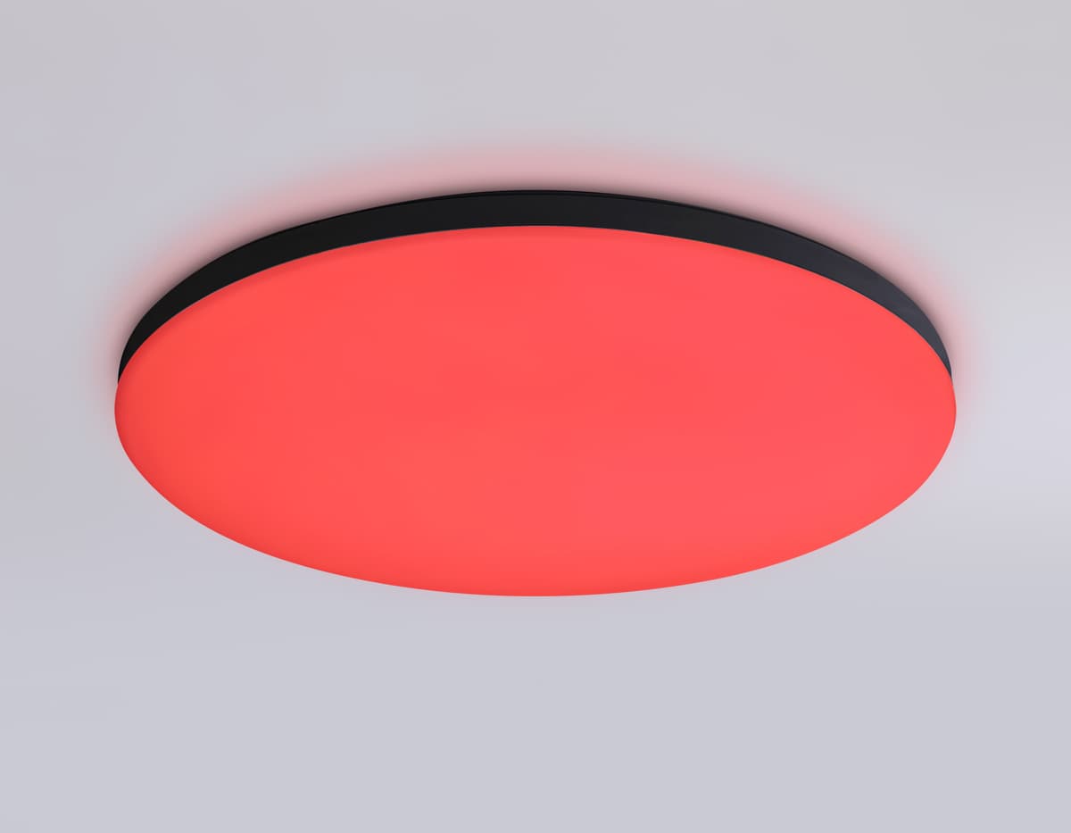 FZ2004 BK черный IP54 20W 3000K-6500K+RGB Wi-Fi Алиса/Tuya/Smart Home/Alexa D300*55 (ПДУ ИК)