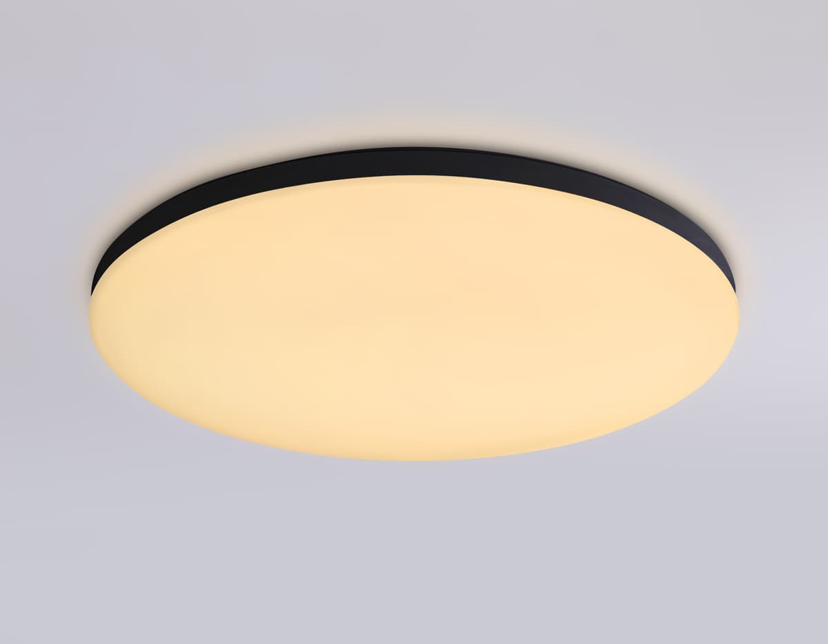 FZ2004 BK черный IP54 20W 3000K-6500K+RGB Wi-Fi Алиса/Tuya/Smart Home/Alexa D300*55 (ПДУ ИК)