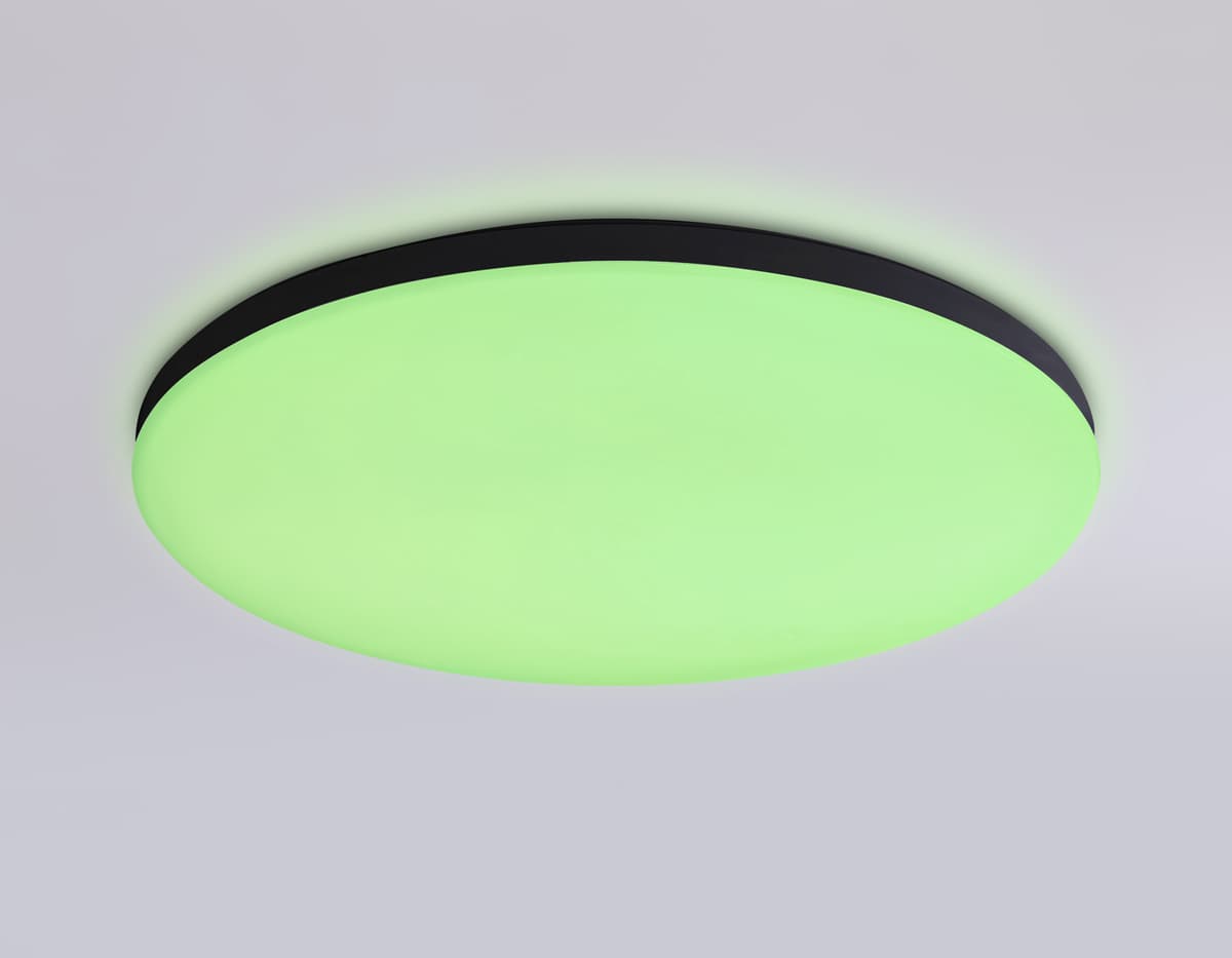 FZ2004 BK черный IP54 20W 3000K-6500K+RGB Wi-Fi Алиса/Tuya/Smart Home/Alexa D300*55 (ПДУ ИК)