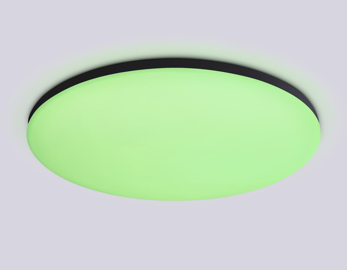 FZ2005 BK черный IP54 25W 3000K-6500K+RGB Wi-Fi Алиса/Tuya/Smart Home/Alexa D370*55 (ПДУ ИК)