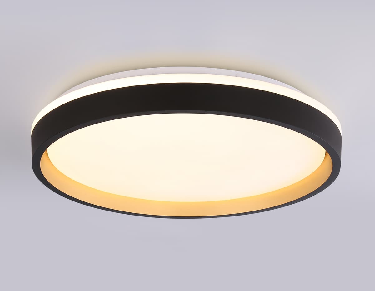 FZ610 BK/GD черный/золото IP20 66W 3000K-6500K+RGB D490*85 (ПДУ ИК)