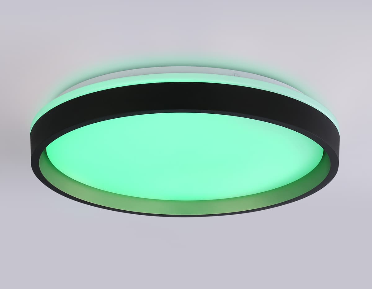 FZ610 BK/GD черный/золото IP20 66W 3000K-6500K+RGB D490*85 (ПДУ ИК)