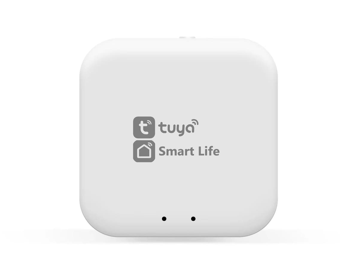 GL1920 WH белый Wi-Fi TUYA/Smart Life