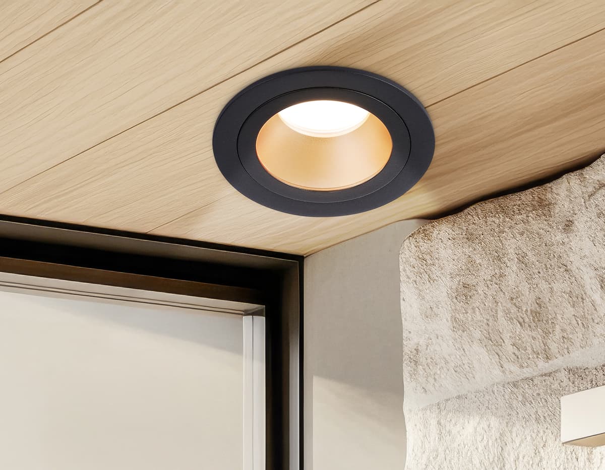 TN102825 BK/GD черный/золото GU5.3 D92*50