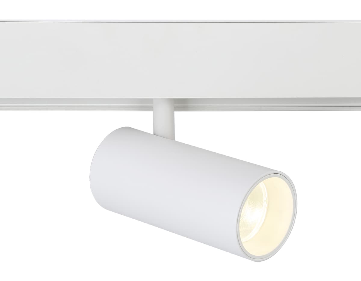 GL3828 WH белый IP20 15W 4200K 48V 24° D57*128